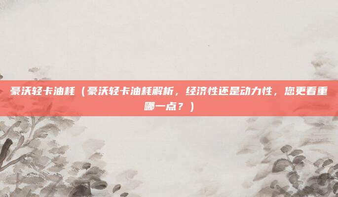 豪沃轻卡油耗(豪沃轻卡油耗解析,经济性还是动力性,您更看重哪一点?)
