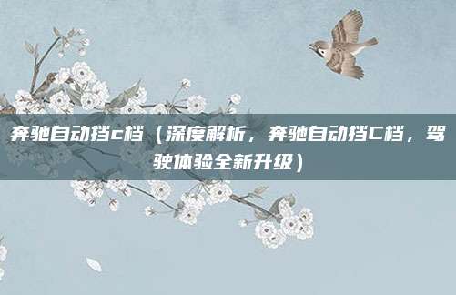 奔驰自动挡c档(深度解析,奔驰自动挡C档,驾驶体验全新升级)