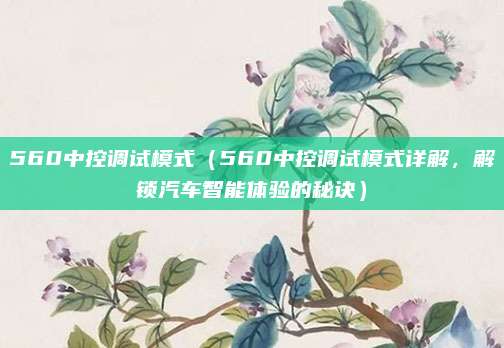 560中控调试模式(560中控调试模式详解,解锁汽车智能体验的秘诀)
