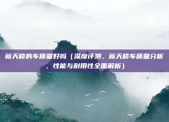 新天籁的车质量好吗(深度评测,新天籁车质量分析,性能与耐用性全面解析)