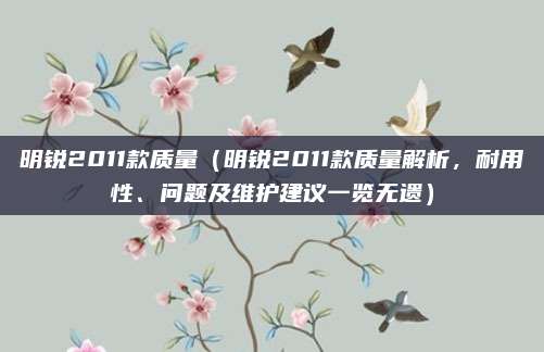 明锐2011款质量(明锐2011款质量解析,耐用性、问题及维护建议一览无遗)