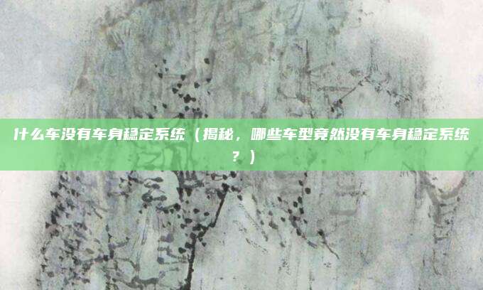 什么车没有车身稳定系统(揭秘,哪些车型竟然没有车身稳定系统?)