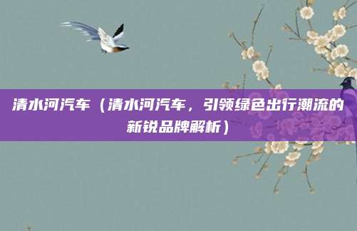 清水河汽车(清水河汽车,引领绿色出行潮流的新锐品牌解析)