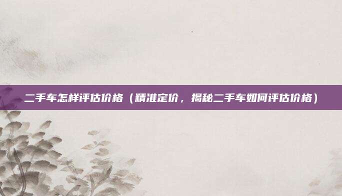 二手车怎样评估价格（精准定价，揭秘二手车如何评估价格）