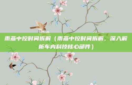 雨燕中控时间拆解(雨燕中控时间拆解,深入解析车内科技核心部件)