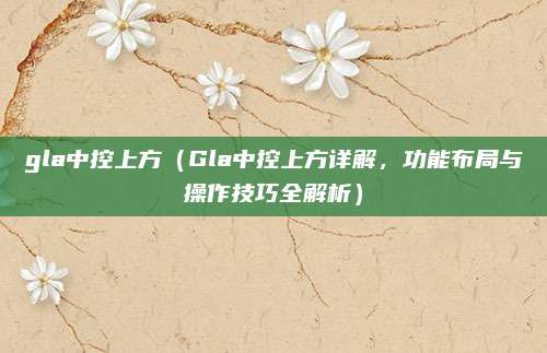 gla中控上方(Gla中控上方详解,功能布局与操作技巧全解析)