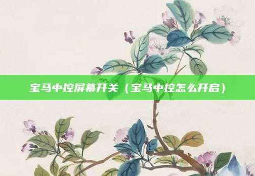 宝马中控屏幕开关(宝马中控怎么开启)