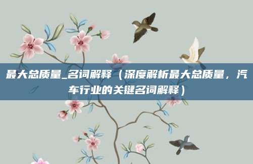 最大总质量_名词解释(深度解析最大总质量,汽车行业的关键名词解释)