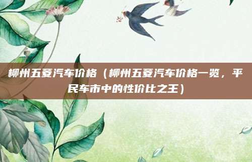 柳州五菱汽车价格(柳州五菱汽车价格一览,平民车市中的性价比之王)