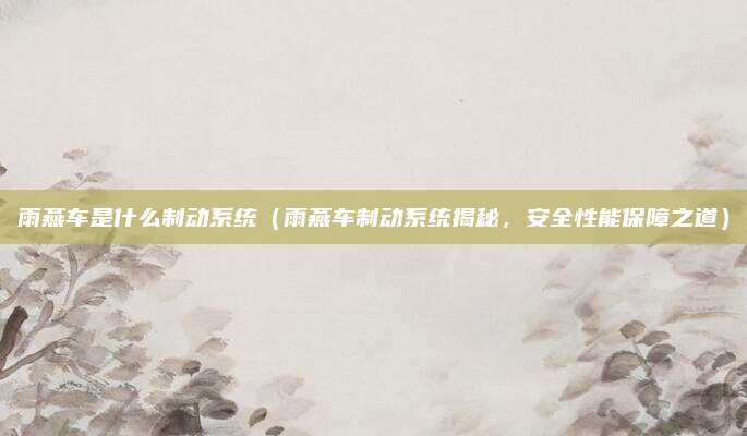 雨燕车是什么制动系统(雨燕车制动系统揭秘,安全性能保障之道)