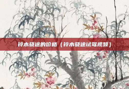 铃木骁途的价格(铃木骁途试驾视频)