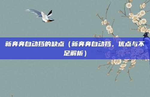 新奔奔自动挡的缺点(新奔奔自动挡,优点与不足解析)