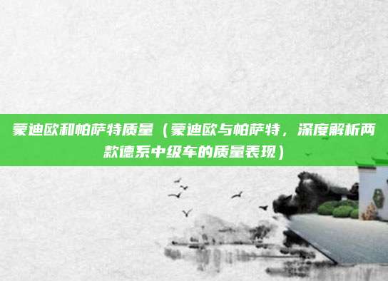 蒙迪欧和帕萨特质量(蒙迪欧与帕萨特,深度解析两款德系中级车的质量表现)