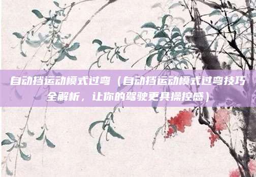 自动挡运动模式过弯(自动挡运动模式过弯技巧全解析,让你的驾驶更具操控感)