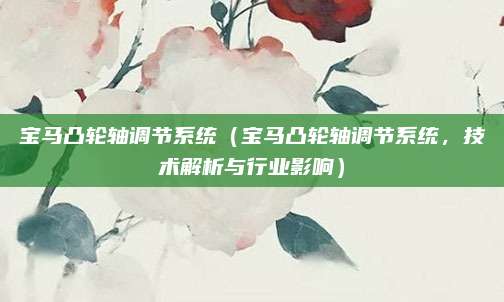 宝马凸轮轴调节系统(宝马凸轮轴调节系统,技术解析与行业影响)