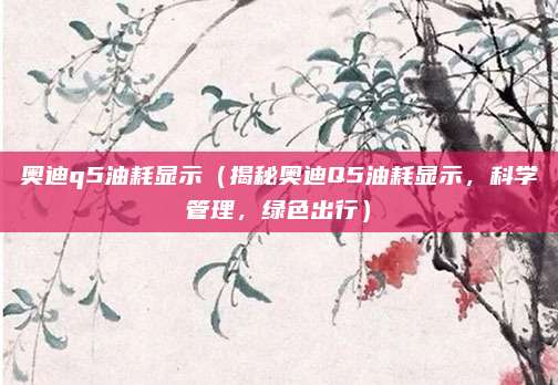 奥迪q5油耗显示(揭秘奥迪Q5油耗显示,科学管理,绿色出行)