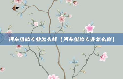 汽车维修专业怎么样(汽车维修专业怎么样)