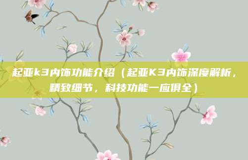 起亚k3内饰功能介绍(起亚K3内饰深度解析,精致细节,科技功能一应俱全)