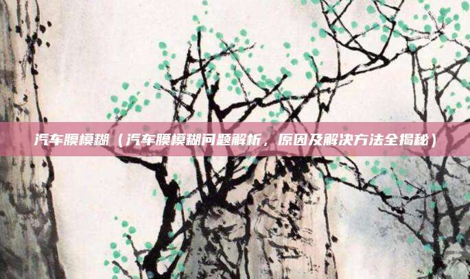 汽车膜模糊(汽车膜模糊问题解析,原因及解决方法全揭秘)