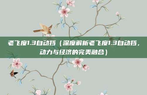 老飞度1.3自动挡(深度解析老飞度1.3自动挡,动力与经济的完美融合)
