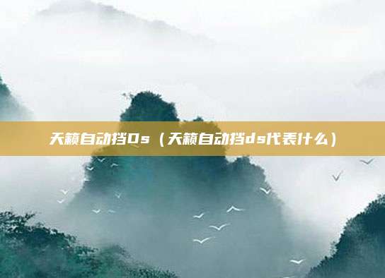 天籁自动挡Ds(天籁自动挡ds代表什么)