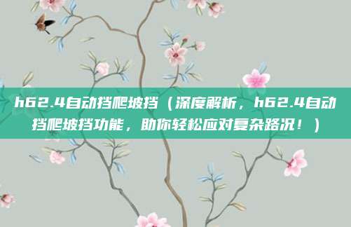 h62.4自动挡爬坡挡(深度解析,h62.4自动挡爬坡挡功能,助你轻松应对复杂路况!)