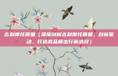 吉利摩托质量（深度剖析吉利摩托质量，创新驱动，打造高品质出行新选择）