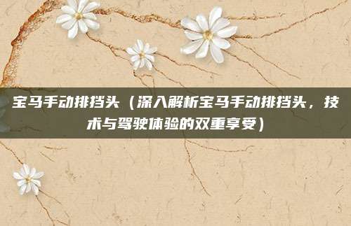 宝马手动排挡头(深入解析宝马手动排挡头,技术与驾驶体验的双重享受)