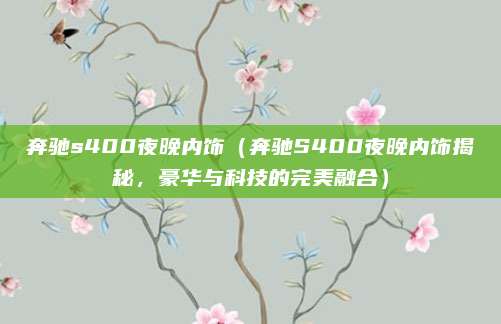 奔驰s400夜晚内饰(奔驰S400夜晚内饰揭秘,豪华与科技的完美融合)