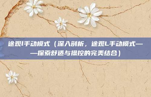途观l手动模式(深入剖析,途观L手动模式——探索舒适与操控的完美结合)