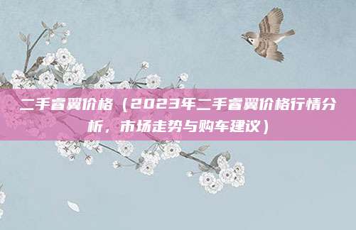 二手睿翼价格(2023年二手睿翼价格行情分析,市场走势与购车建议)