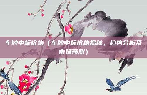 车牌中标价格(车牌中标价格揭秘,趋势分析及市场预测)