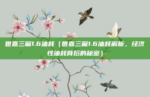 世嘉三厢1.6油耗（世嘉三厢1.6油耗解析，经济性油耗背后的秘密）
