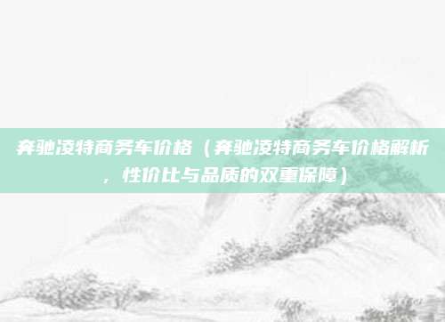 奔驰凌特商务车价格(奔驰凌特商务车价格解析,性价比与品质的双重保障)