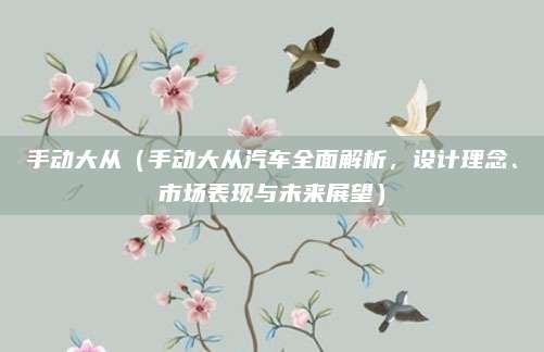 手动大从（手动大从汽车全面解析，设计理念、市场表现与未来展望）