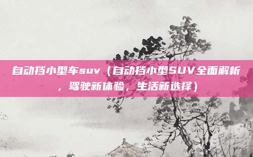 自动挡小型车suv(自动挡小型SUV全面解析,驾驶新体验,生活新选择)