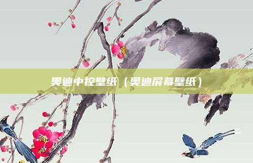 奥迪中控壁纸(奥迪屏幕壁纸)