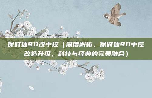 保时捷911改中控(深度解析,保时捷911中控改造升级,科技与经典的完美融合)