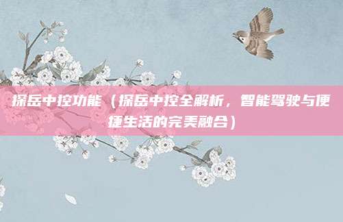 探岳中控功能（探岳中控全解析，智能驾驶与便捷生活的完美融合）