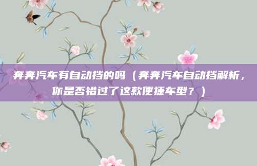 奔奔汽车有自动挡的吗(奔奔汽车自动挡解析,你是否错过了这款便捷车型?)