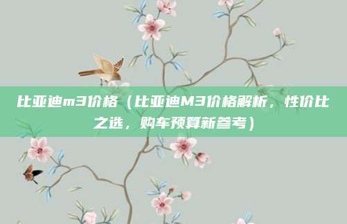 比亚迪m3价格（比亚迪M3价格解析，性价比之选，购车预算新参考）