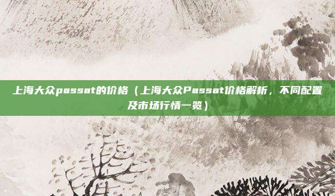 上海大众passat的价格（上海大众Passat价格解析，不同配置及市场行情一览）