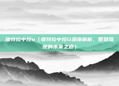 维特拉中控u（维特拉中控U深度解析，智慧驾驶的未来之道）