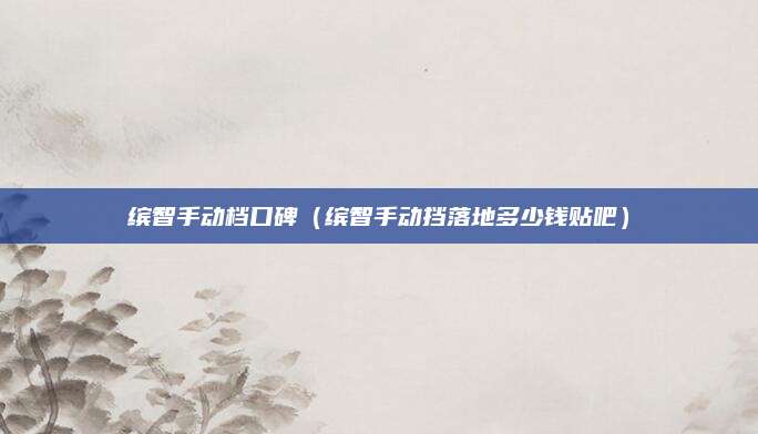 缤智手动档口碑(缤智手动挡落地多少钱贴吧)