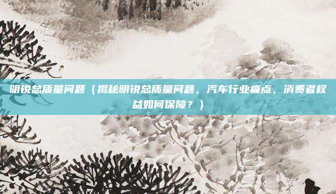 明锐总质量问题（揭秘明锐总质量问题，汽车行业痛点，消费者权益如何保障？）
