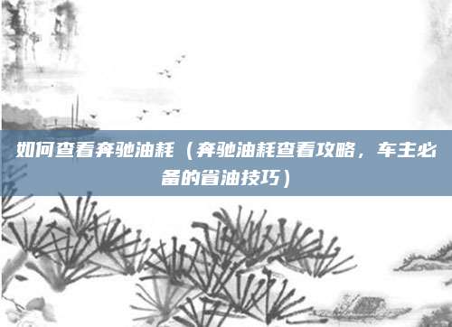 如何查看奔驰油耗(奔驰油耗查看攻略,车主必备的省油技巧)