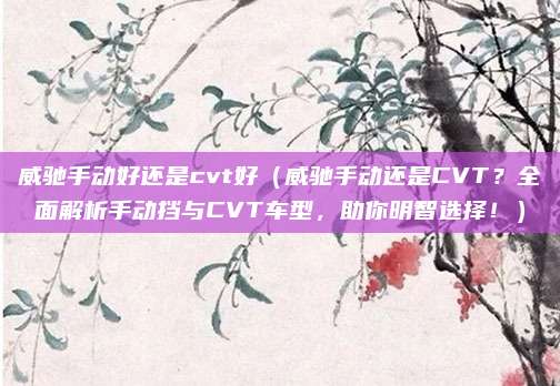 威驰手动好还是cvt好(威驰手动还是CVT?全面解析手动挡与CVT车型,助你明智选择!)