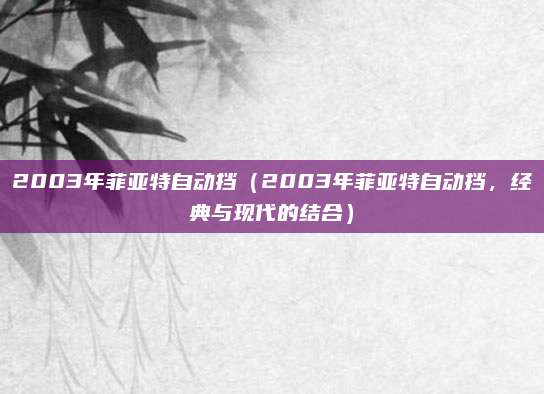 2003年菲亚特自动挡(2003年菲亚特自动挡,经典与现代的结合)