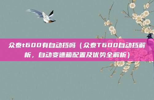 众泰t600有自动挡吗(众泰T600自动挡解析,自动变速箱配置及优势全解析)