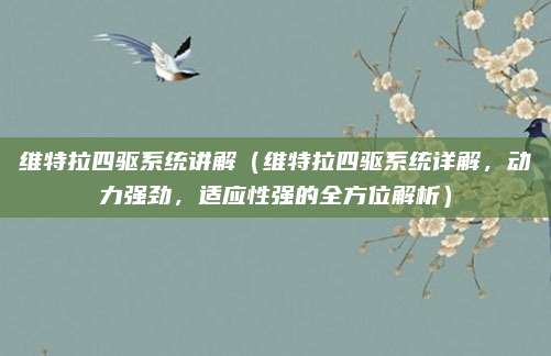 维特拉四驱系统讲解(维特拉四驱系统详解,动力强劲,适应性强的全方位解析)